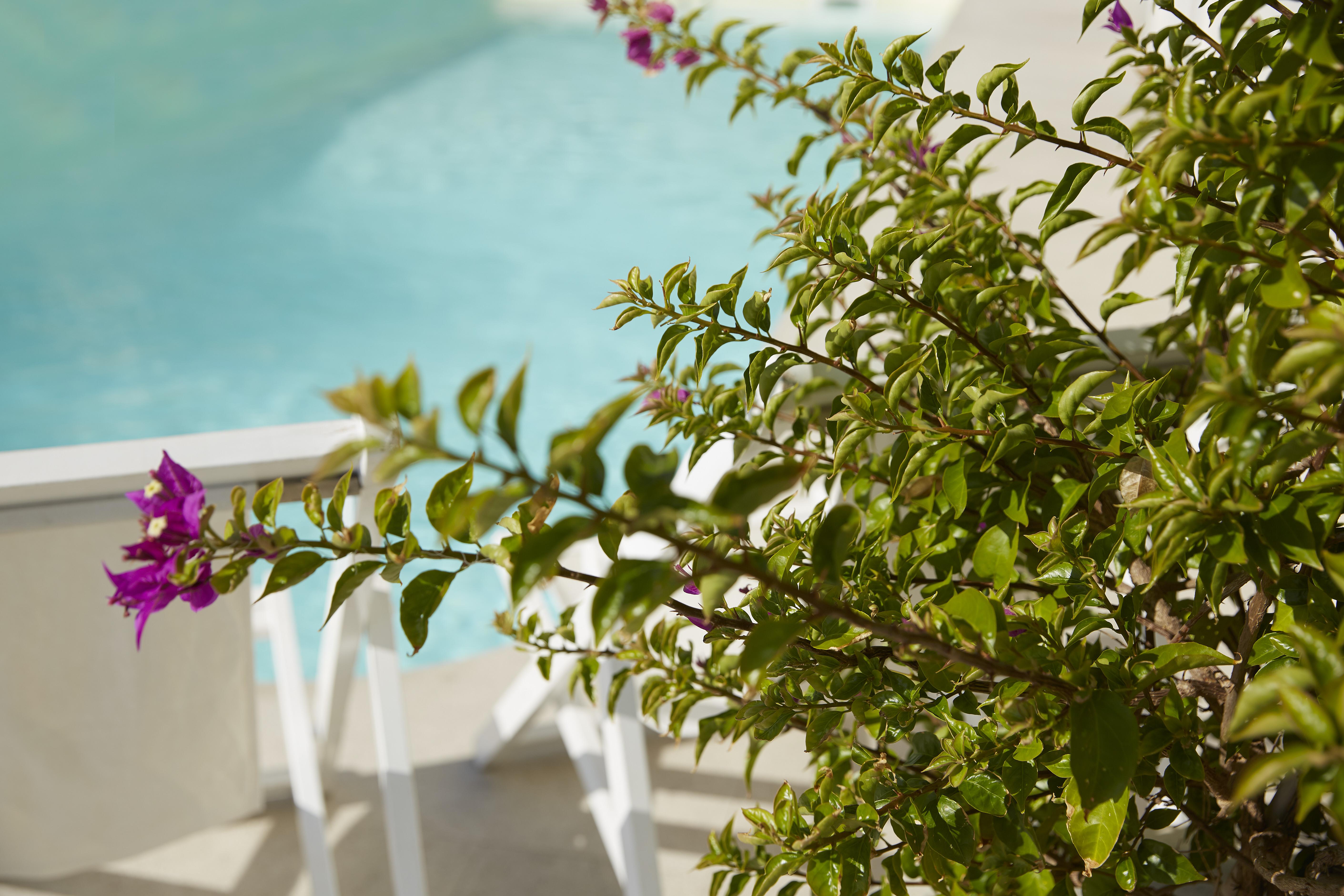 Mon Repos Palace “Art Hotel” Operated By Ella Resorts (Adults Only) Corfu  Eksteriør bilde
