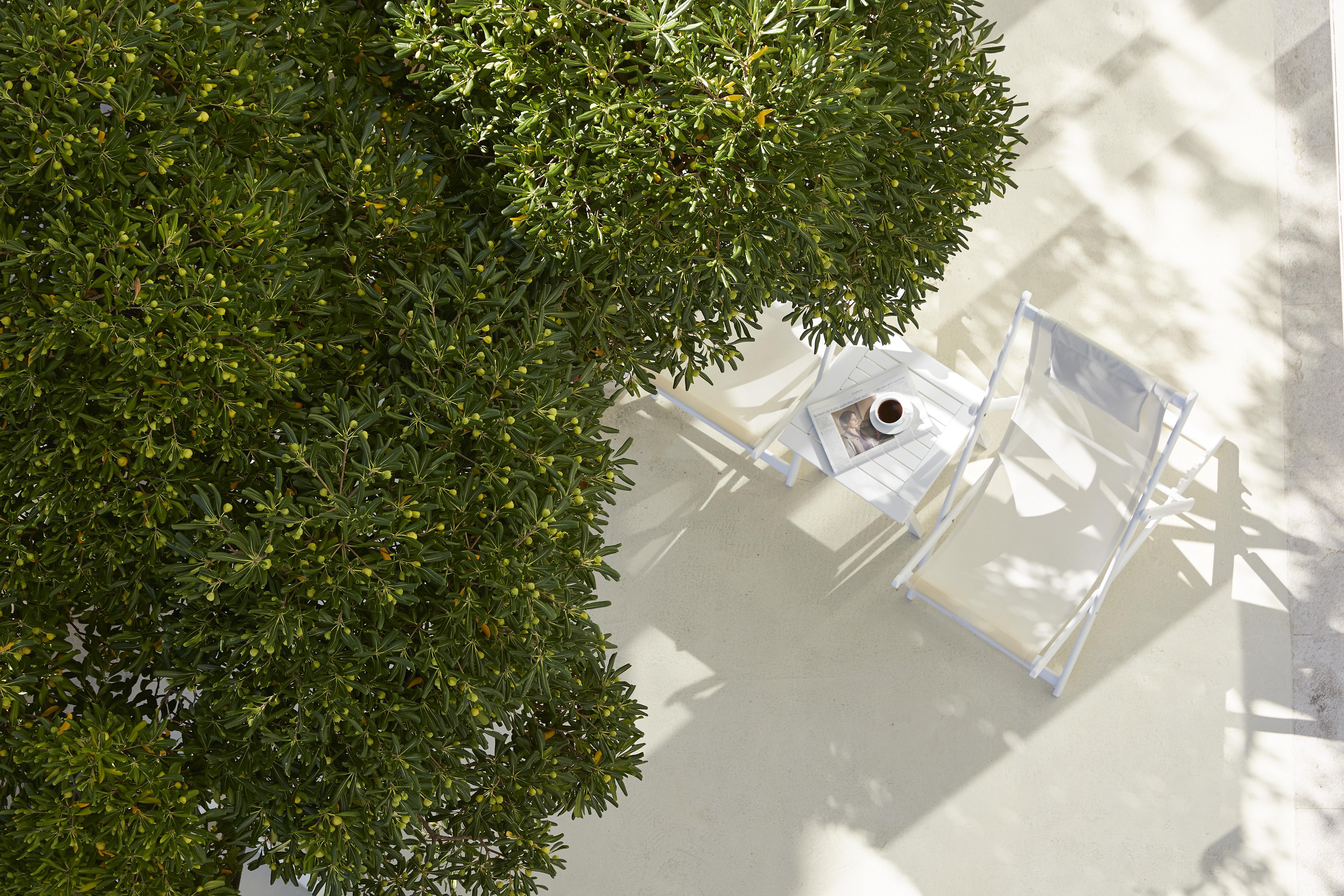 Mon Repos Palace “Art Hotel” Operated By Ella Resorts (Adults Only) Corfu  Eksteriør bilde